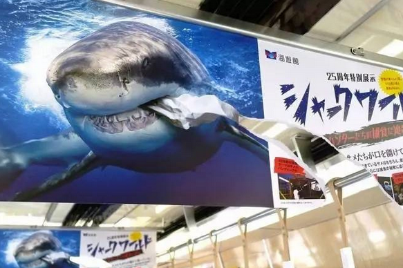 這是一張海報(bào)的正反面。人們很容易被這個(gè)破損的不尋常海報(bào)吸引注意力。