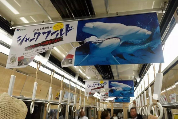 這是一張海報(bào)的正反面。人們很容易被這個(gè)破損的不尋常海報(bào)吸引注意力。