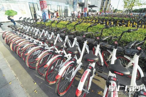 昨日下午，在開福區(qū)萬達廣場，成片的共享單車停放在廣場前坪。 長沙晚報記者 黃啟晴 攝