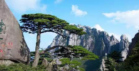 門票那么貴 沒法玩耍了！