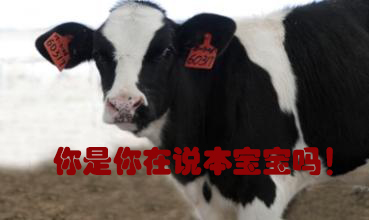 關(guān)我什么事！