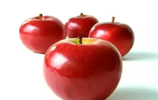 小心有毒！各種蔬果不能吃的部分