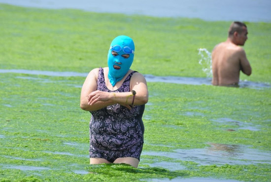 2013年7月3日，山東青島青島高溫來(lái)襲，“青島大媽”不懼滸苔，戴著“強(qiáng)盜面具”出現(xiàn)在海水浴場(chǎng)消暑降