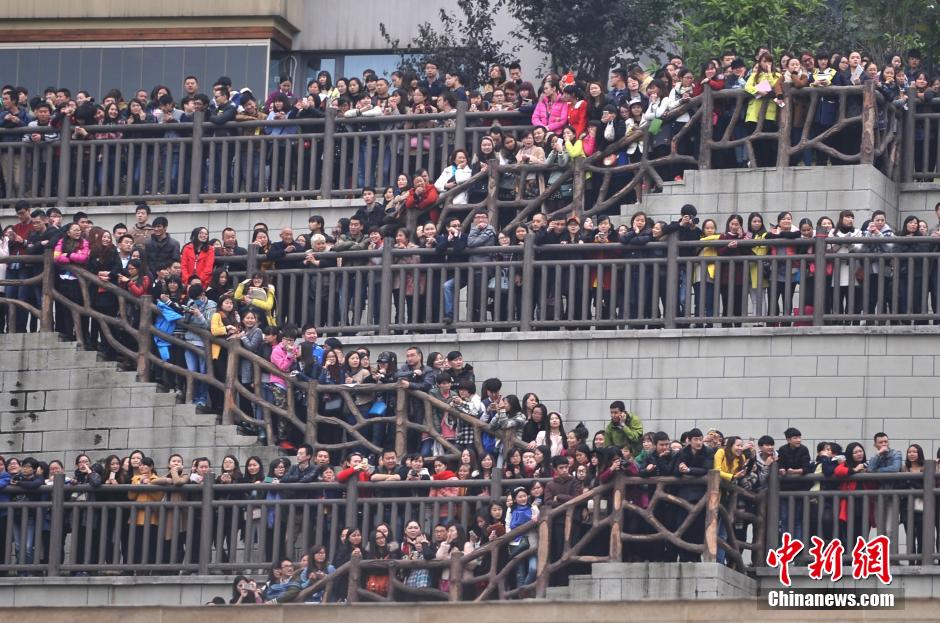 重慶上萬粉絲在南濱路等待《奔跑吧兄弟》節(jié)目的錄制。