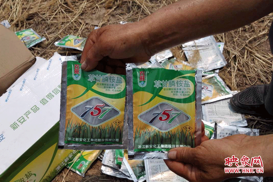 毀掉玉米的農(nóng)藥袋散落在地頭。