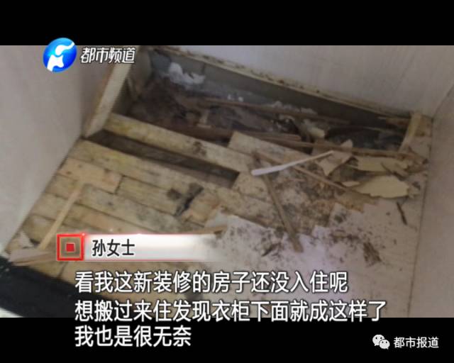 蟻?zhàn)宕筌娙肭?！十幾萬(wàn)裝修的新家被“吃掉”