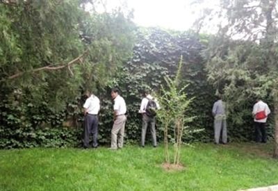 6月30日，頤和園內(nèi)綠地上，多名游客在小解。 網(wǎng)友“攝影老鬼” 攝