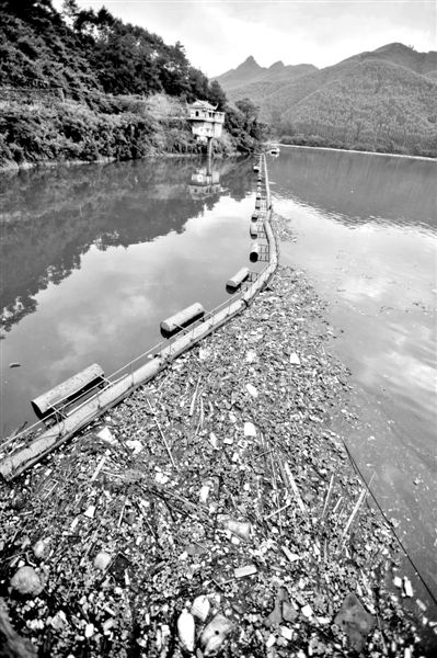 7月7日，廣西賀州市賀江合面獅段被污染的水域。據(jù)新華社