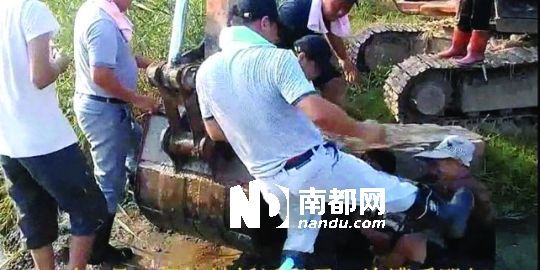 幾名戴黑帽的男子將一名老人推入水塘，后反復(fù)腳踹。