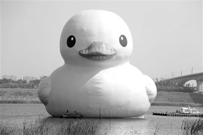 昨日，經(jīng)過連夜修正，大黃鴨的嘴部已恢復(fù)變寬，和在香港展出時(shí)看起來一樣。