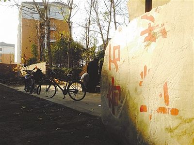 昨日，“上海奇石盆景博物館”原址上，已矗立起小區(qū)樓盤，而刻著博物館名的巨石，廢棄在一旁。本版圖片/新京報記者 張永生 攝