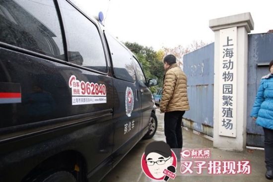 殯葬車到達(dá)現(xiàn)場。新民網(wǎng) 記者 蕭君瑋 攝