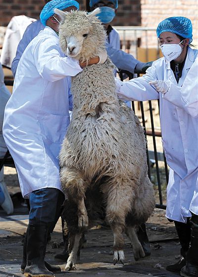 好強壯！我真的不是虛胖，兩三個人別想控制我。