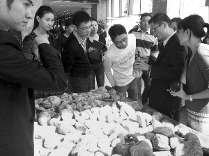 前段時間，夫子廟古玩城舉行的一場賭石活動，吸引了不少人參與