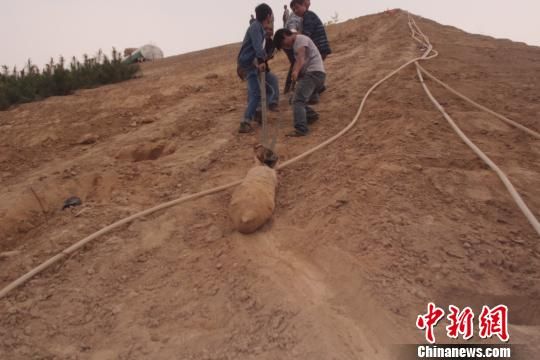 　4月27日上午，當?shù)卮迕裨诠系販洗逡痪G化處挖出一枚長1米，重200斤的炸彈，5月10日，這枚炸彈已