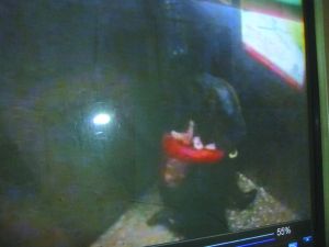 男子將侯某撲倒，侯某反抗。