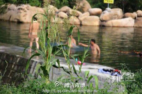 網(wǎng)友曝光的現(xiàn)場圖片。（圖片來自網(wǎng)絡(luò)）