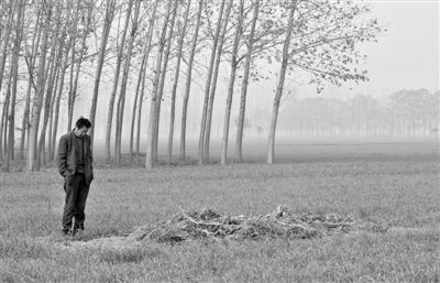 11月21日，高松中站在腦癱雙胞胎兒子墳前。