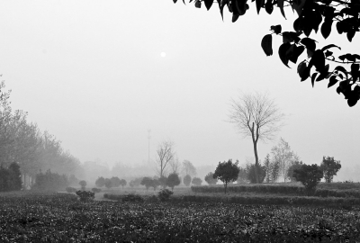 3月26日上午8點(diǎn),鄭大新校區(qū),濃濃的霧霾埋沒(méi)了大好春景。