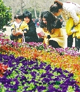 近距離才能拍得更真切。