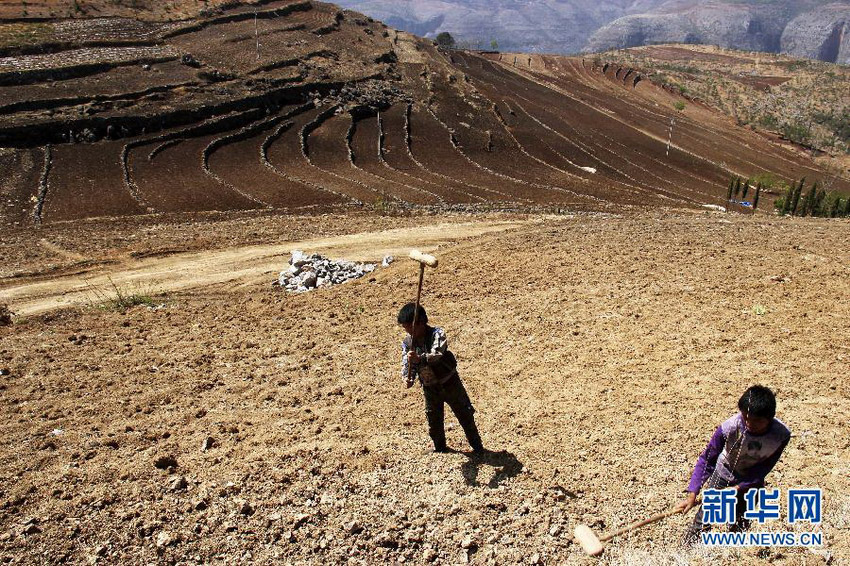 3月16日，在貴州省畢節(jié)市威寧縣斗古鄉(xiāng)中關(guān)村，兩個(gè)孩子幫助家人在干旱的土地上勞動(dòng)。