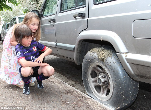 英街區(qū)遭毛蟲"入侵"