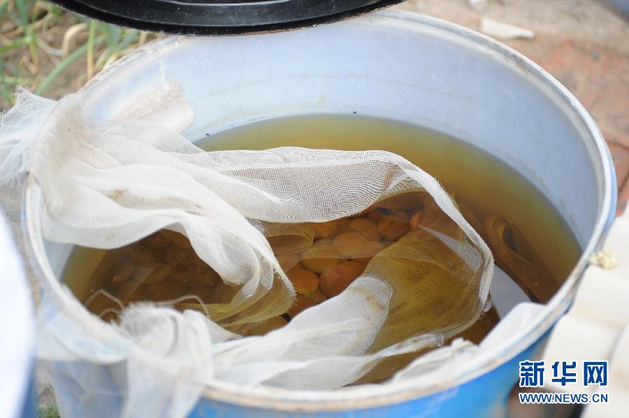 地下水成“綠茶”　污染二十多年該誰治？