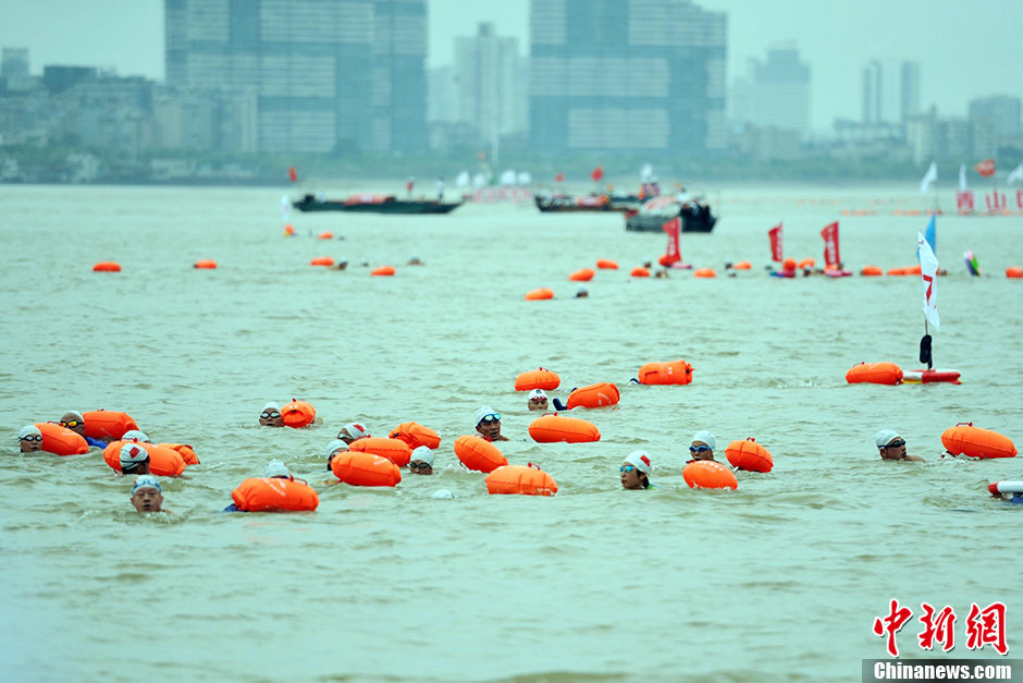 圖為江面上的橫渡方隊里的選手們劈波斬浪。中新社發(fā) 張暢 攝