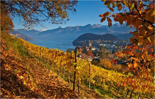 繼續(xù)一段弗里堡的午后時(shí)光