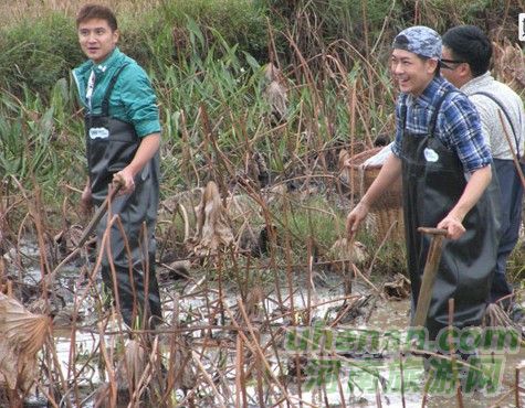 爸爸去哪兒？親密接觸荷花仙子