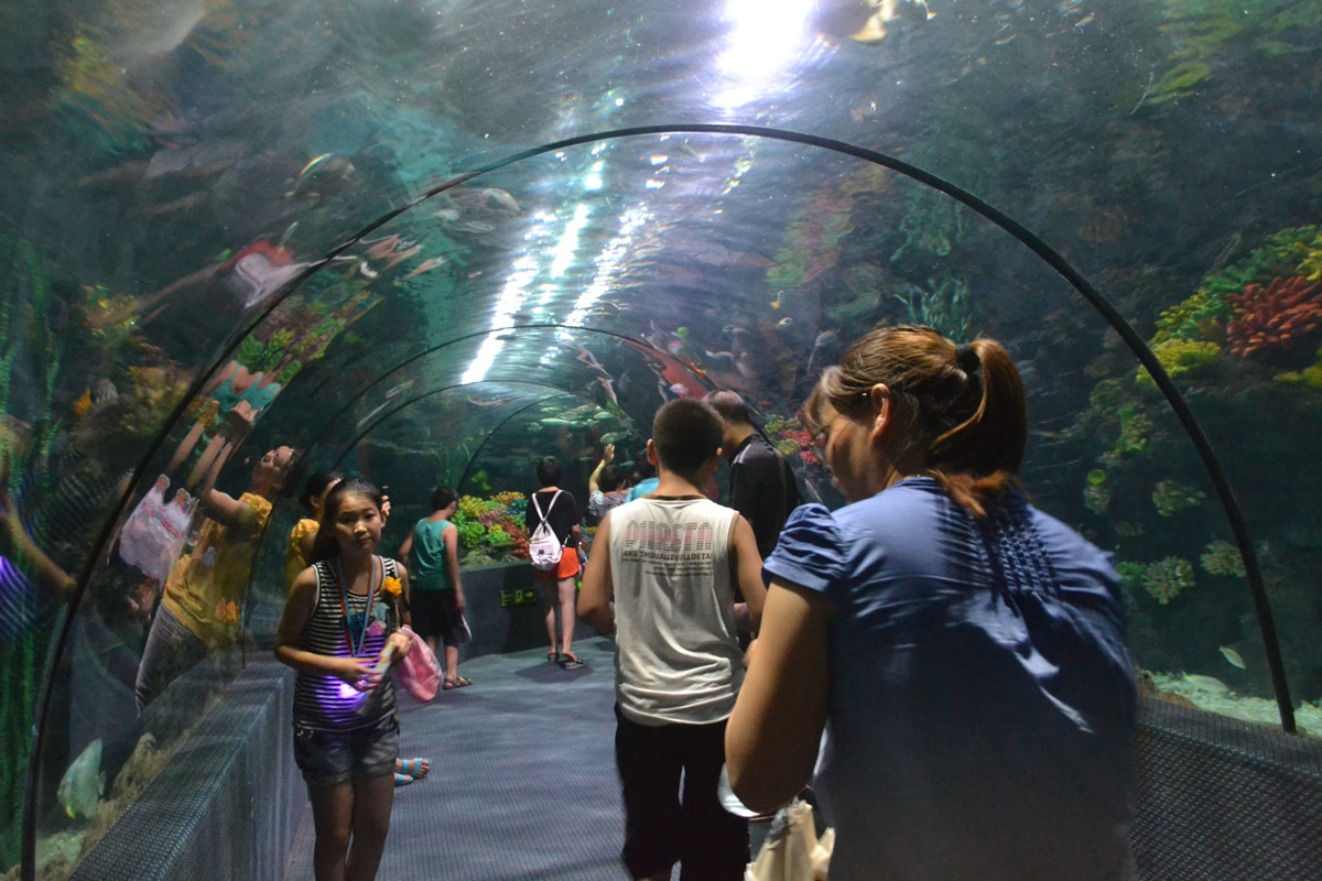 春節(jié)去哪兒？出游地圖告訴您！