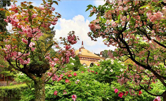 麻辣冬日二三五，芳菲三月看峨眉