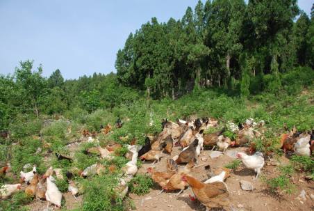 旅游真奇妙 這些事你知道嗎？