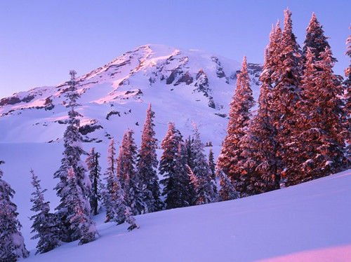 華盛頓，雷尼爾山