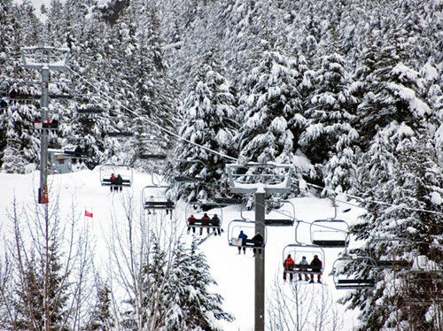 阿拉斯加，阿里耶斯卡