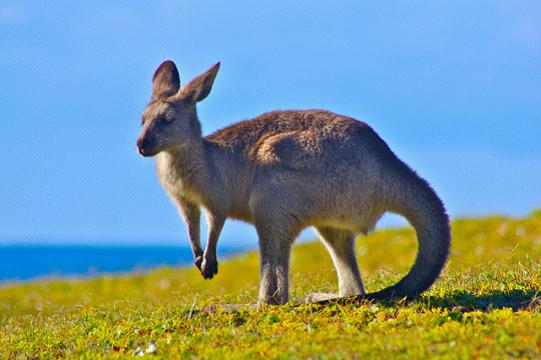 全家出國游去哪里？推薦十佳旅游勝地