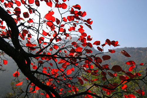 龍峪灣森林徒步中秋啟動 “混搭風”引領(lǐng)金秋時尚