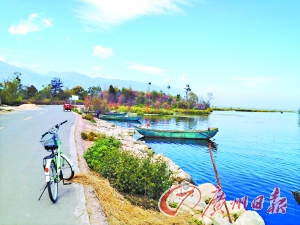 洱海的藍讓人沉醉。