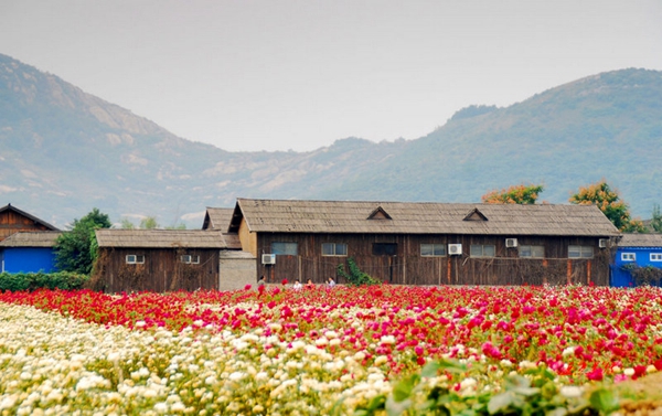 別樣蜜月，河南最適宜新婚度假的景區(qū)