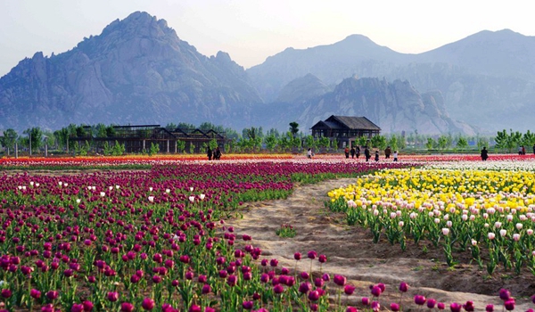 別樣蜜月，河南最適宜新婚度假的景區(qū)