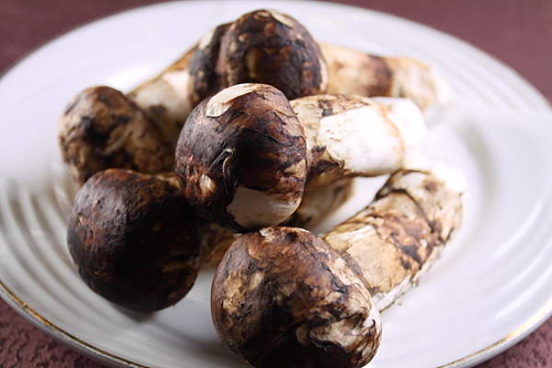 不時(shí)不吃滋補(bǔ)松茸宴 秋季進(jìn)補(bǔ)佳品