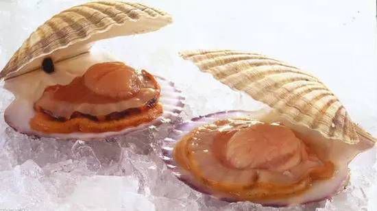 秋季最適合吃的海鮮是這10種 你吃對(duì)了嗎？