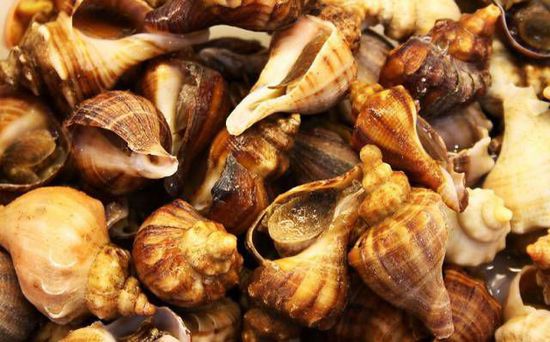 秋季最適合吃的海鮮是這10種 你吃對(duì)了嗎？