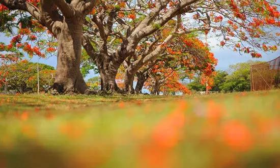 適合在冬天旅游的十個(gè)絕美海島！