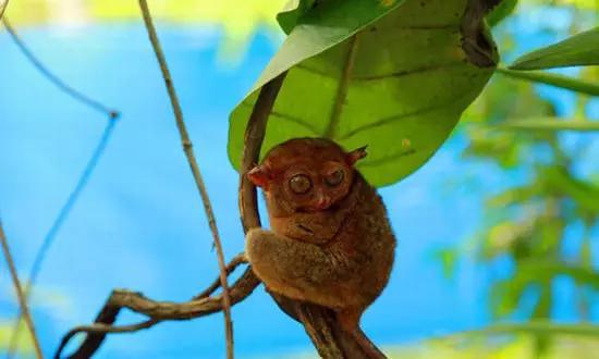 適合在冬天旅游的十個(gè)絕美海島！