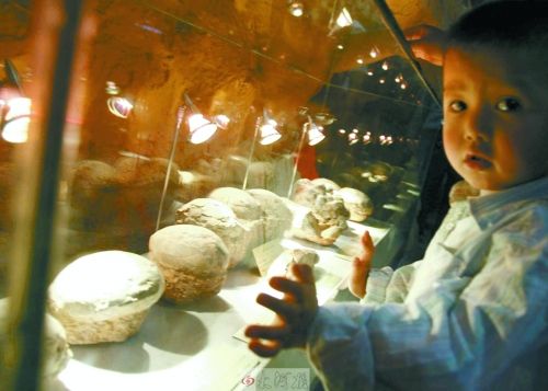 恐龍蛋，這回見(jiàn)識(shí)了吧！