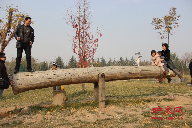 巨大的蹺蹺板，一棵樹(shù)。。。看玩的多嗨