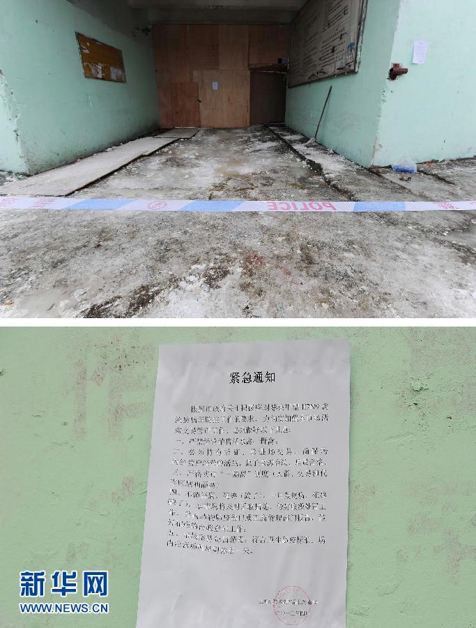 上海6日起暫?；钋萁灰?關(guān)閉所有活禽交易市場(chǎng)