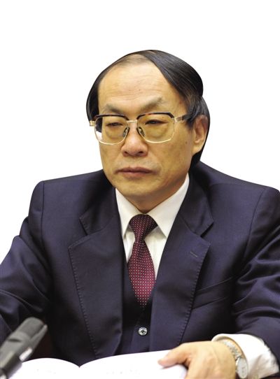 劉志軍（資料圖片）。新華社發(fā)