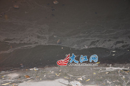 19日晚上的玉帶河，紅色河水變回灰綠色。